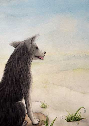 Loui